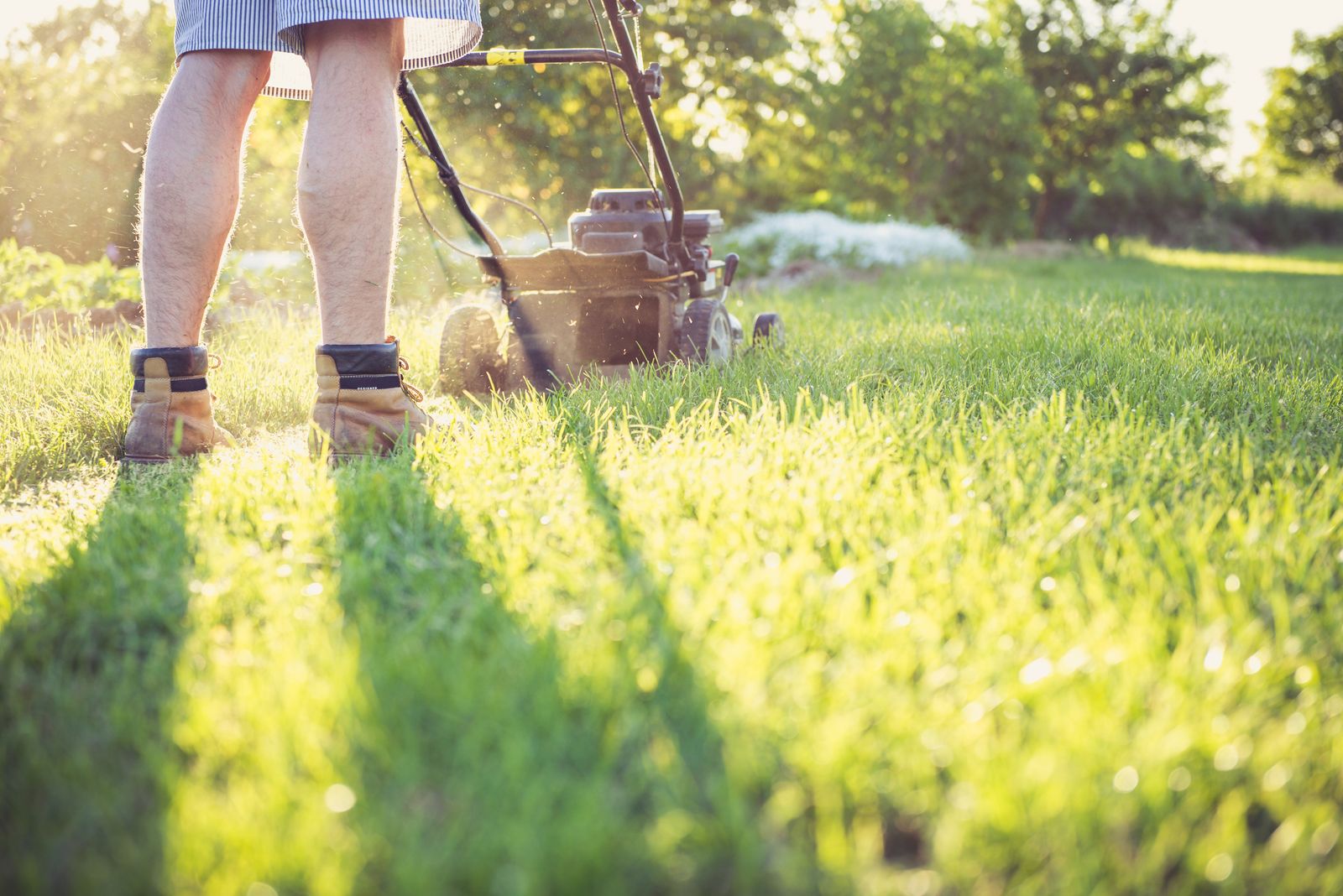 Olympic Home Maintenance mowing a lawn, leaving a fresh, crisp cut stripe across the grass in the late-afternoon sun.