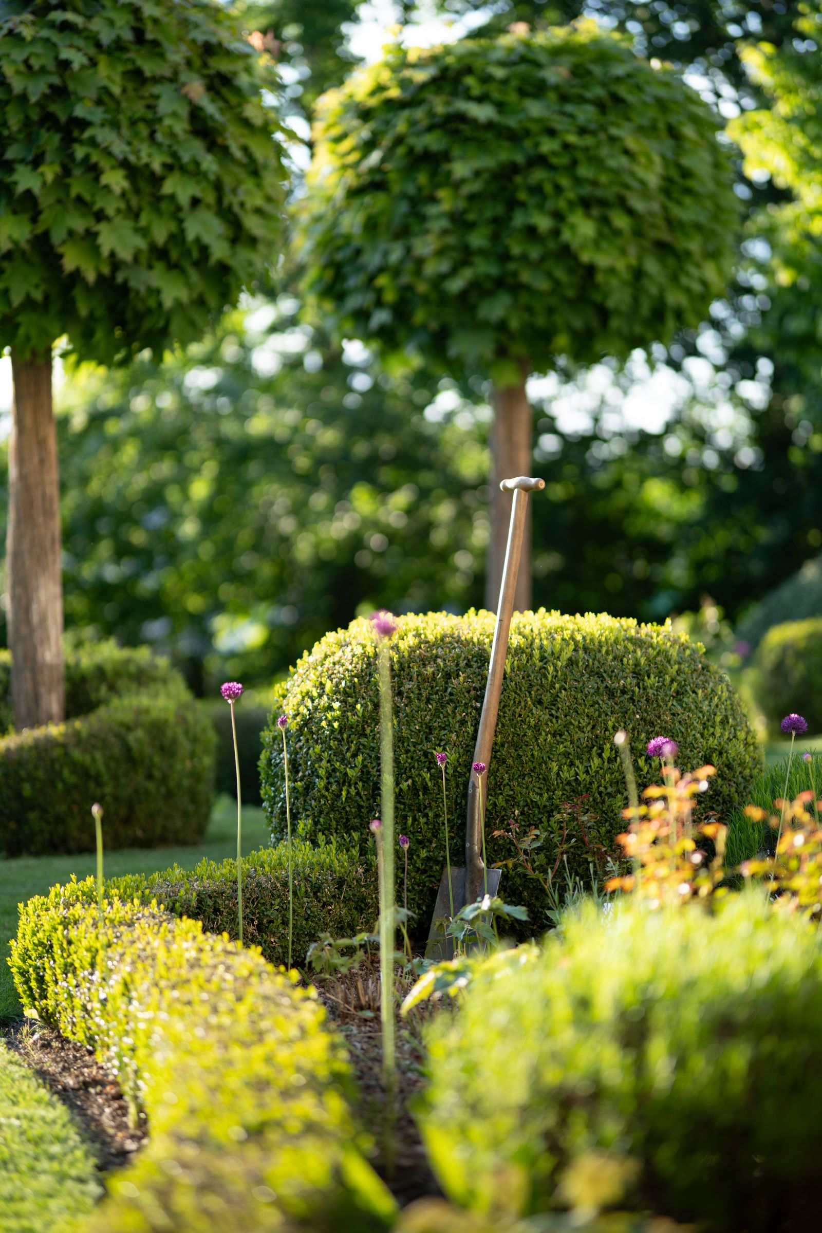 Neatly edged garden bed with trimmed shrubs, mulch and flowering plants.