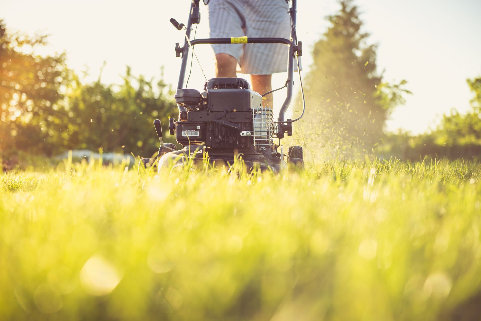 Push mower cutting a home lawn, grass clippings visible mid-air in the sunlight.